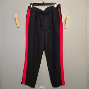 Banana Republic Navy Pants with Red Stripes